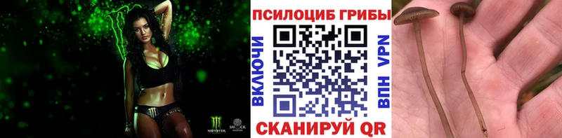 Псилоцибиновые грибы ЛСД  купить закладку  Липецк 