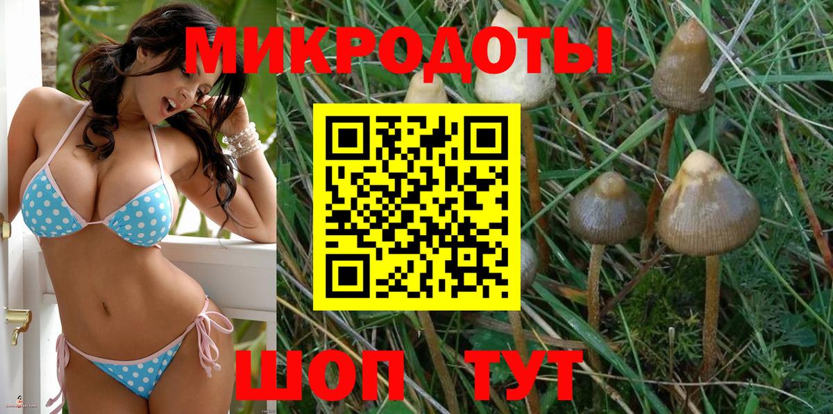 Галлюциногенные грибы MAGIC MUSHROOMS  Вход с VPN  Галлюциногенные грибы Magic Shrooms  Липецк 